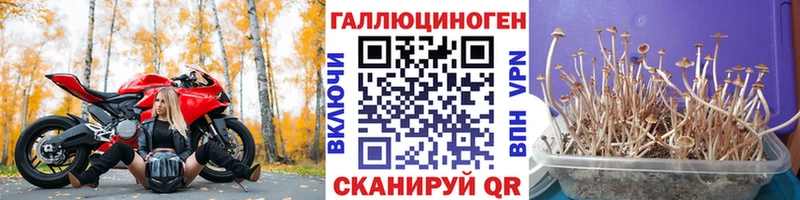 где купить наркоту  Оханск  Галлюциногенные грибы Cubensis 